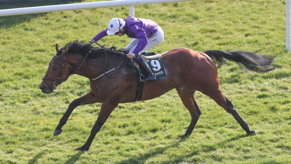 Raadobarg and Ben Coen run out convincing winners of the Irish Lincoln