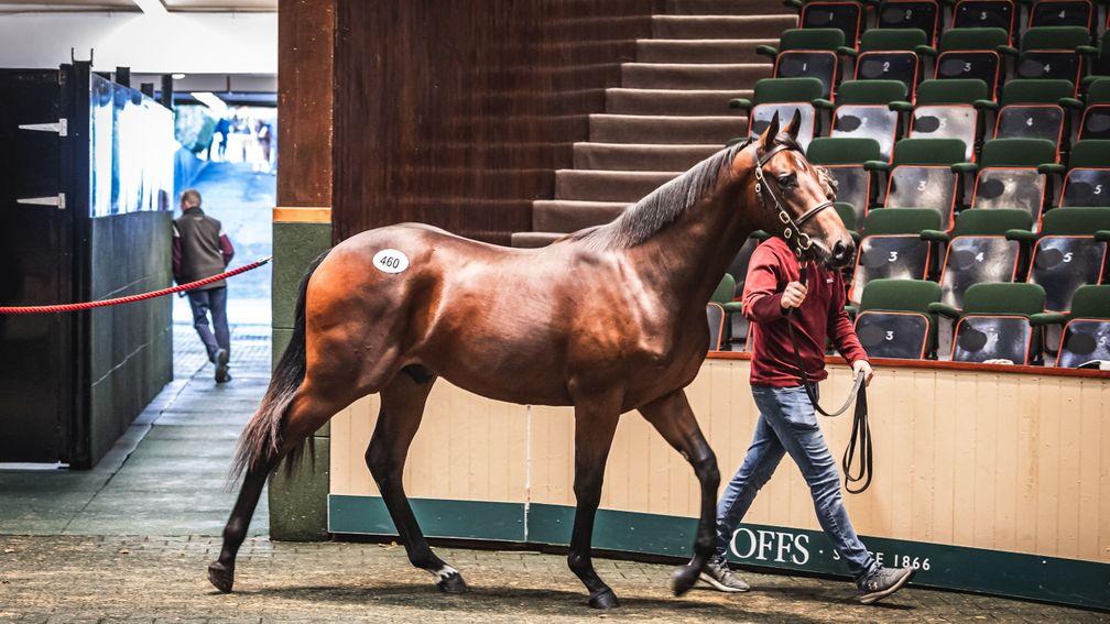The top lot in the ring, where he was hammered down for €575,000