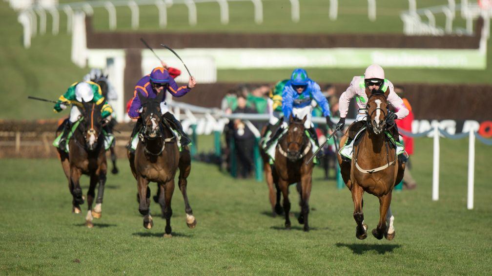 Faugheen: Walsh looks set to side with the 2015 Champion Hurdle winner next week