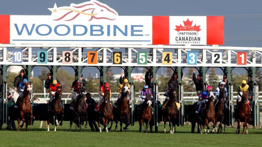 Woodbine: racing has been postponed due to the global pandemic