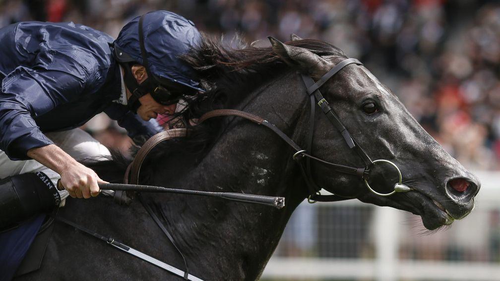 Caravaggio wins the Commonwelth Cup to give Scat Daddy four winners at Royal Ascot in 2017