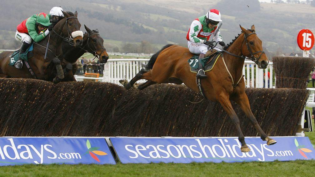 Sam Waley-Cohen: steered Tricky Trickster to victory in the National Hunt Chase in 2009