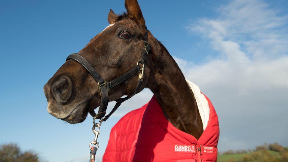 Denman relaxes during retirement after a career that saw him scale remarkable heights