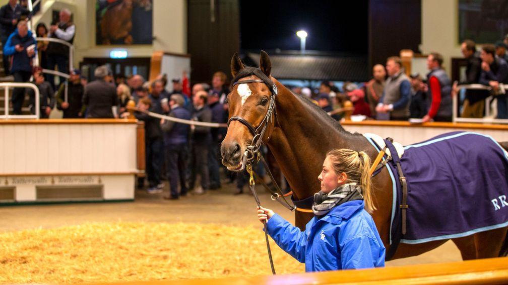 Grocer Jack, the top lot at a record-breaking Tattersalls Horses in Training Sale, sells to Najd Stud for 700,000gns