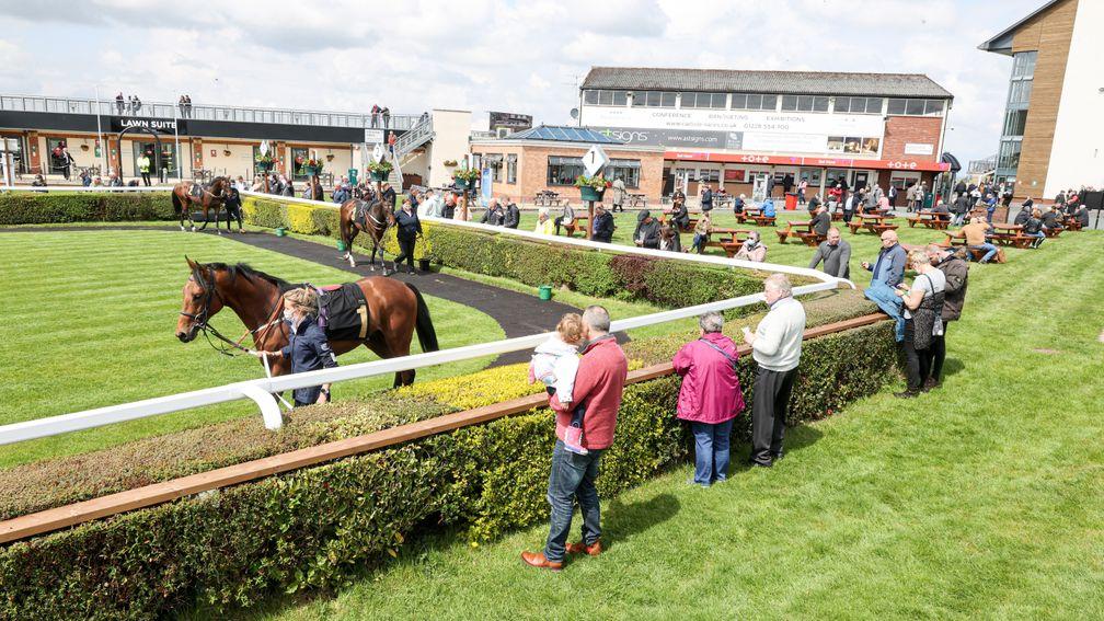 Glued to the action: racegoers get a glimpse of the runners in the paddock at Carlisle