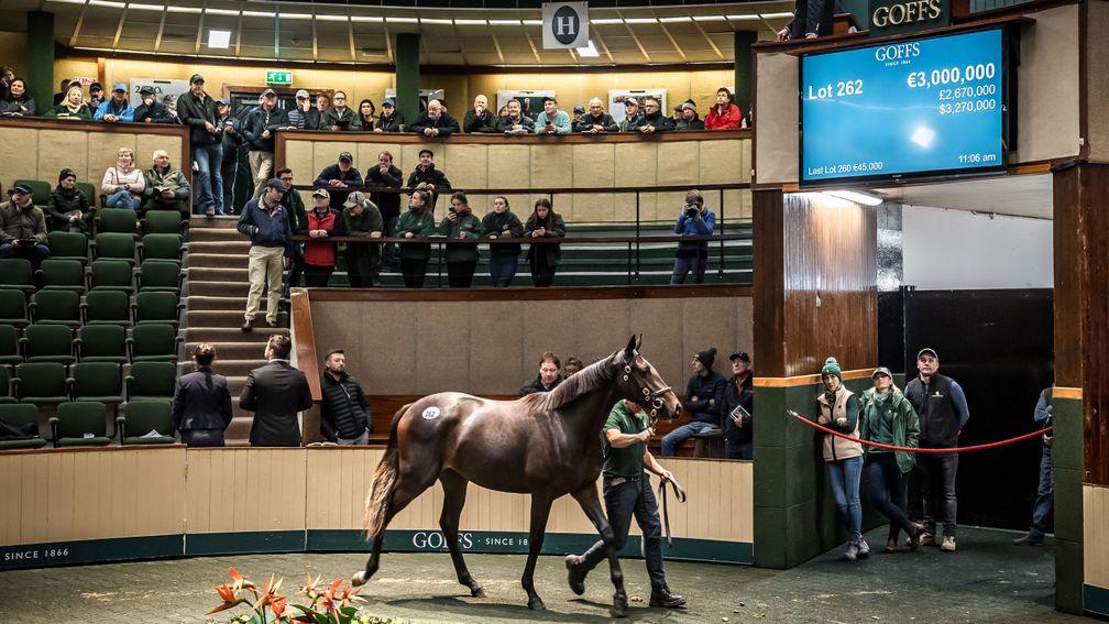 The Galileo filly out of Green Room brings €3,000,000 at the Goffs Orby Sale