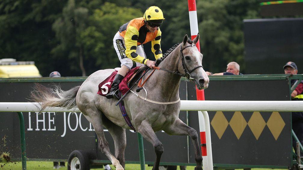 Watersmeet: seeking to repeat his win of a year ago