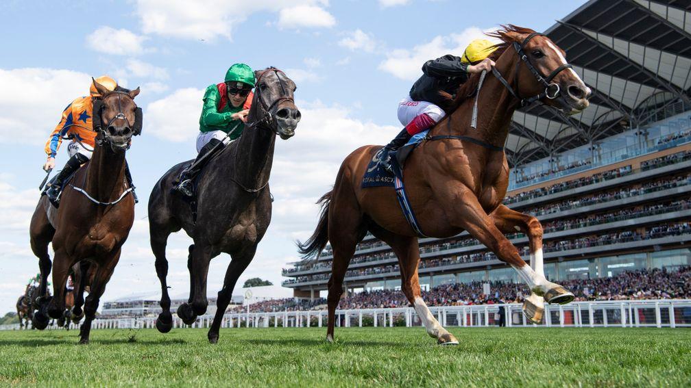 Vazirabad (centre, green silks) will not be sent to Goodwood for a rematch with his Ascot Gold Cup conqueror Stradivarius (yellow cap) at the end of the month