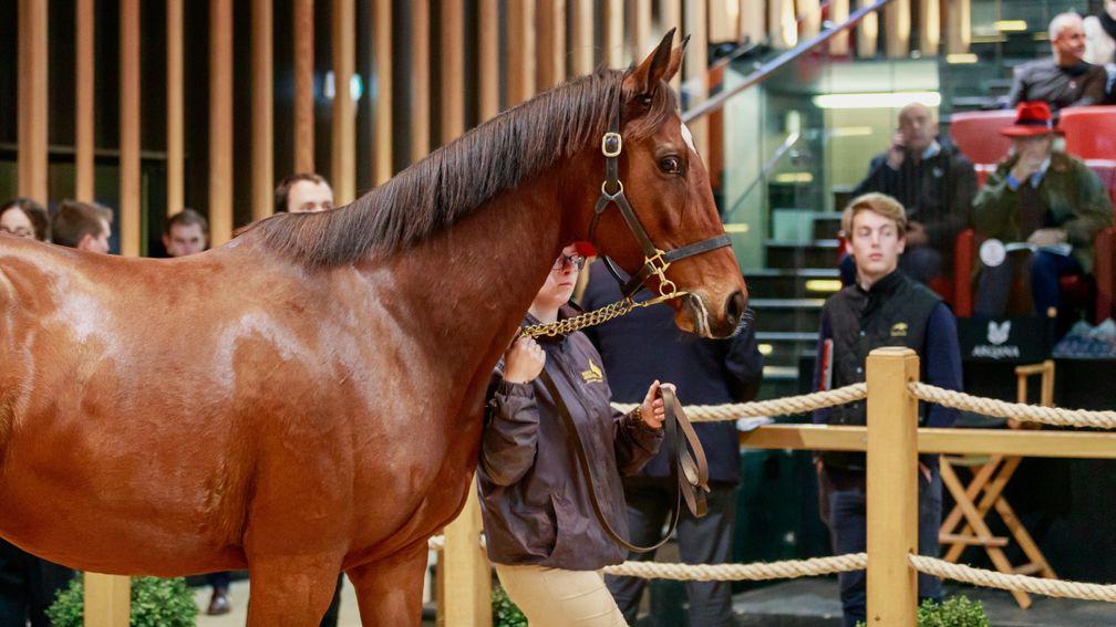 Fabulous Dragoness led the way during the National Hunt breeding stock sale at Arqana on Wednesday