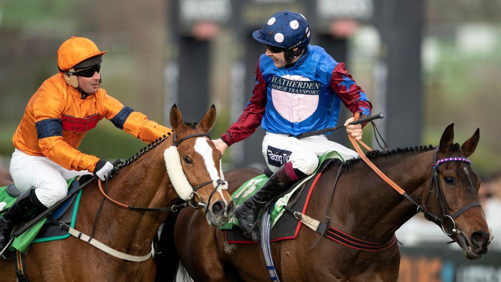 Sam Spinner (left) provided a rare high point for British breeding at this year's Cheltenham Festival when a gallant second in the Stayers' Hurdle