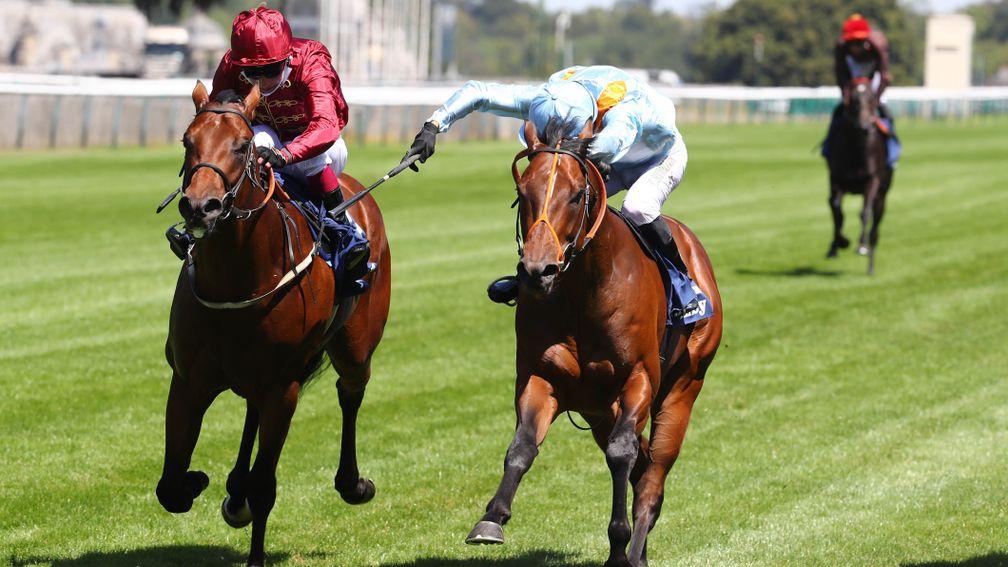 Ventura Tormenta (blue): could face rematch with Prix Robert Papin runner-up The Lir Jet in Sunday's Phoenix Stakes