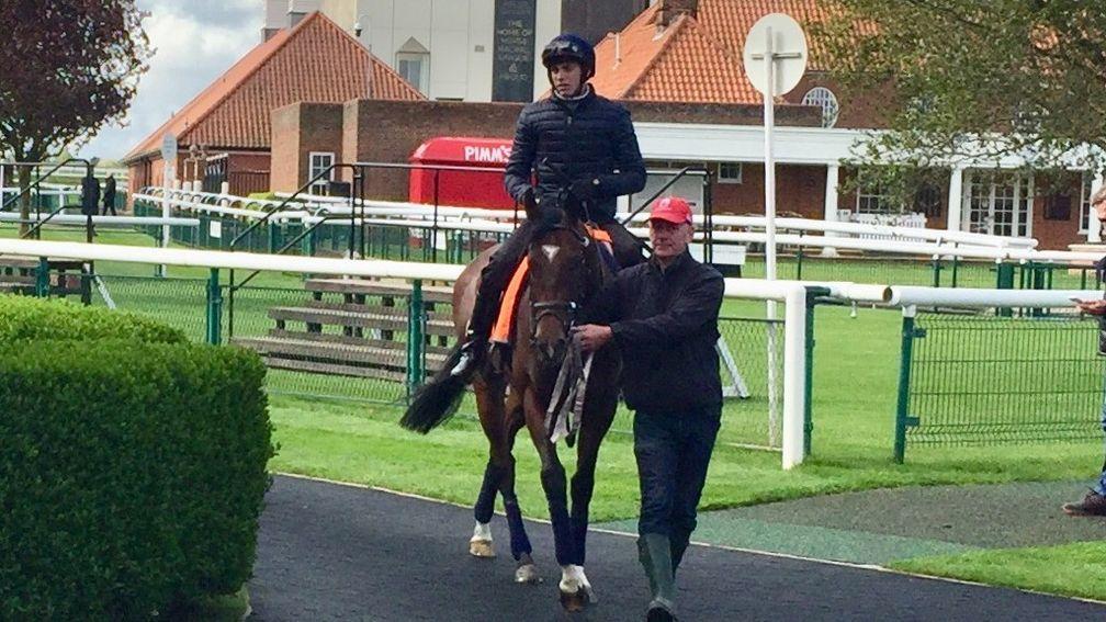 Headway and James Doyle before their workout on the Rowley Mile