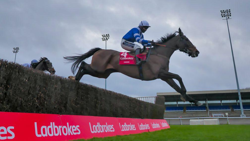 Frodon: could make his sixth festival appearance in the Ultima Handicap