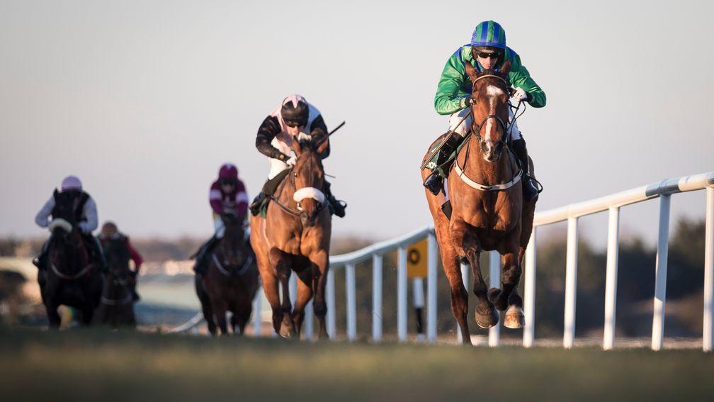 Carefully Selected: the horse everyone is talking about in the National Hunt Chase