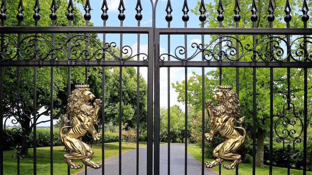 Appropriately, lions adorn the gates of Jane Lyon's Summer Wind Farm