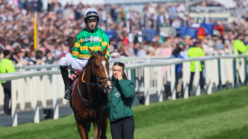 Honesty Policy after his Aintree success on Saturday