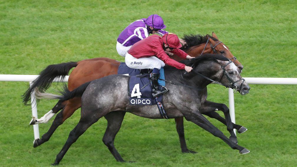 The decider: Oisin Murphy and Roaring Lion pip Saxon Warrior again in the Irish Champion Stakes
