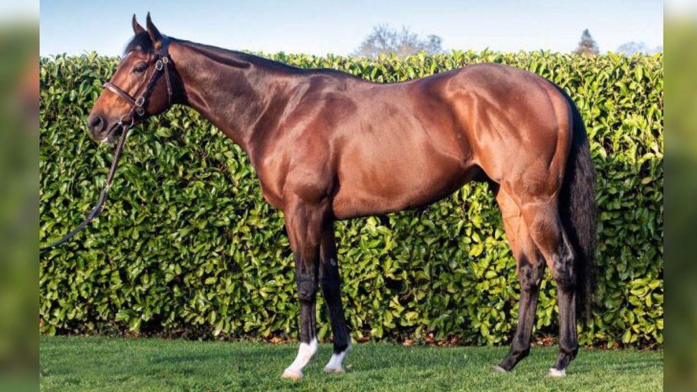 Unfortunately: off the mark as a sire