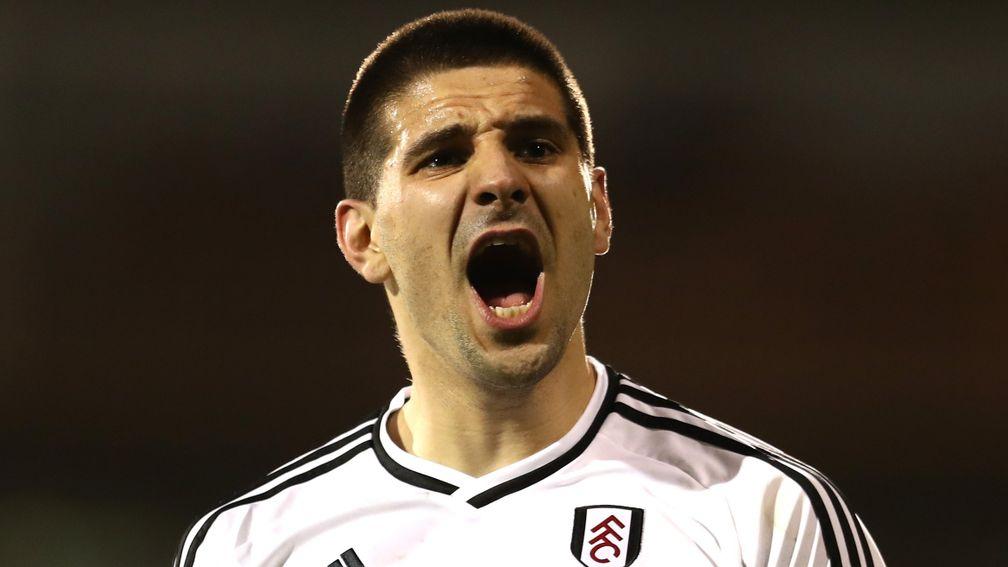 Aleksandar Mitrovic has been in great form for Fulham