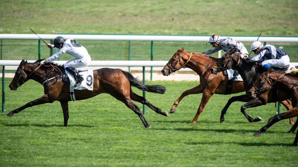 Chilean and Oisin Murphy forge clear in the Prix La Force, ahead of My Pleasure and runner-up Study Of Man (number 6)
