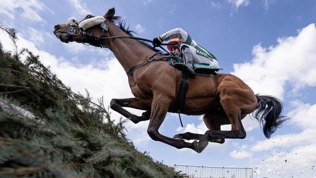 Calico at the last fence in the Maghull Novices' Chase Aintree 