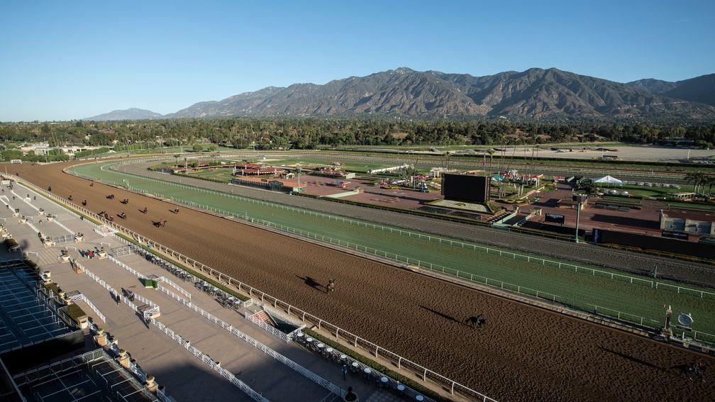 Horses train on Santa Anita's main track against the backdrop of the San Gabriel mountains