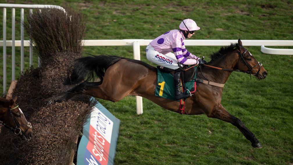 Greaneteen: sole defeat over fences came when sent off second-favourite for the Grand Annual