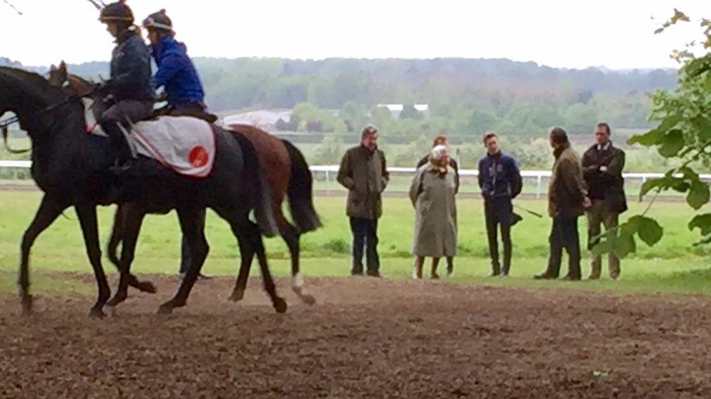 The Queen chats to Pat Cosgrave and William Haggas after watching the work on the Newmarket gallops
