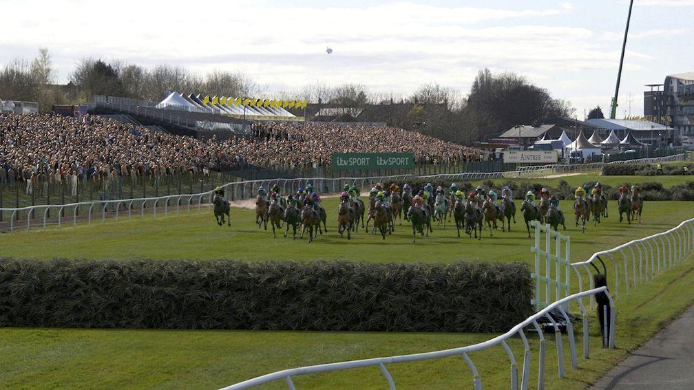 Bookmakers already donated more than £2.6 million from profits on the Virtual Grand National