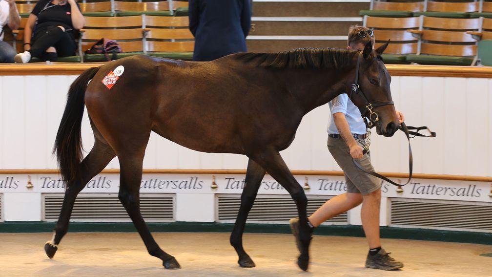 Lot 128: the Ardad filly out Sparkling Eyes fetches 85,000gns