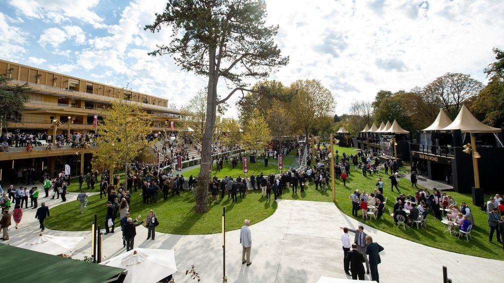 Room with a view: the paddock at Longchamp