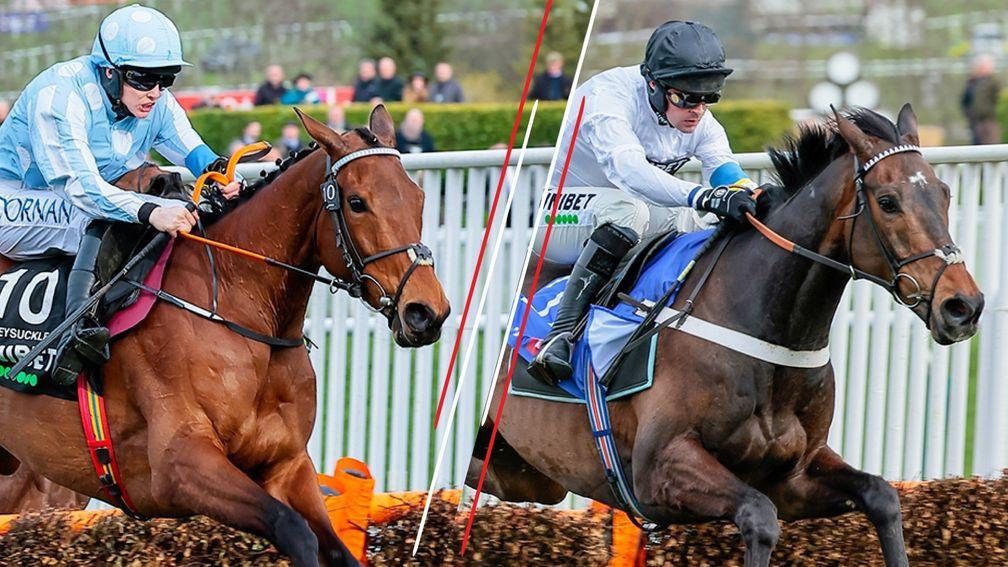 Honeysuckle (left) and Constitution Hill (right): may clash at Punchestown