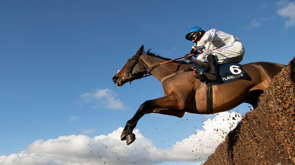 Hitman: leading Scilly Isles Novices' Chase contender
