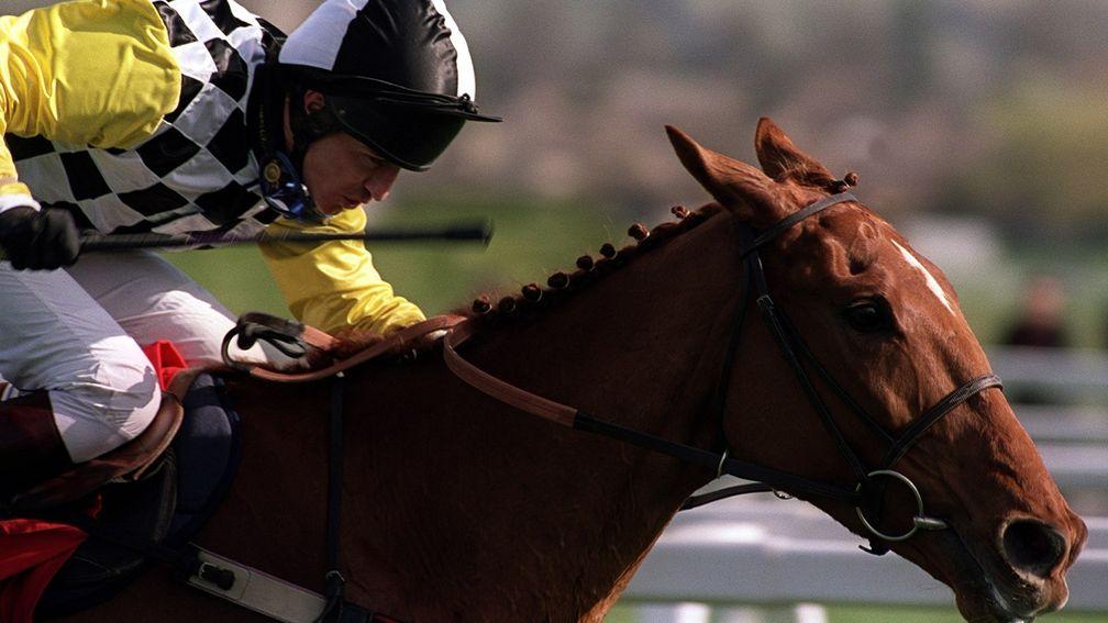 Monsignor: twice a Cheltenham Festival winner before his career was cut short by injury