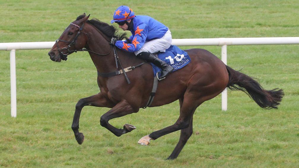 Dreal Deal goes up a whopping 26lb for his win at Limerick on Saturday