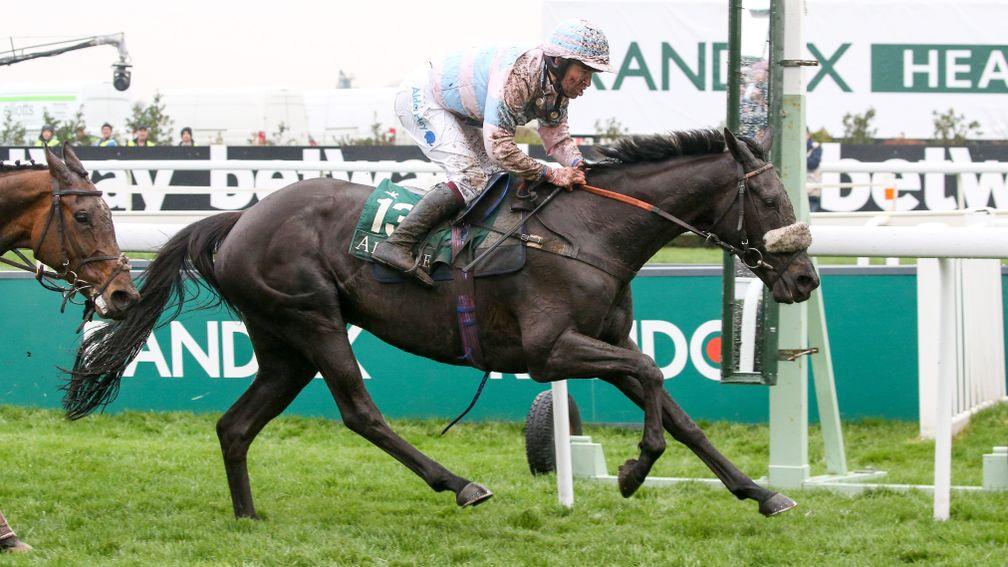 Jester Jet: fancied to win over fences for the first time