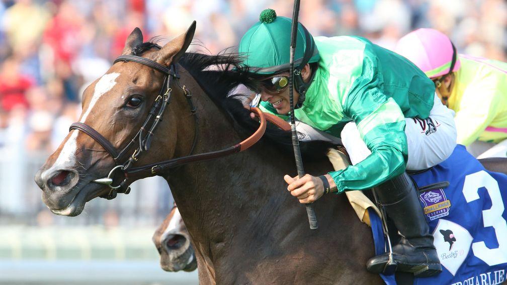 Sistercharlie (John Velazquez) holds Chad Brown-trained stablemate Fourstar Crook to win the Grade 1 Beverly D at Arlington