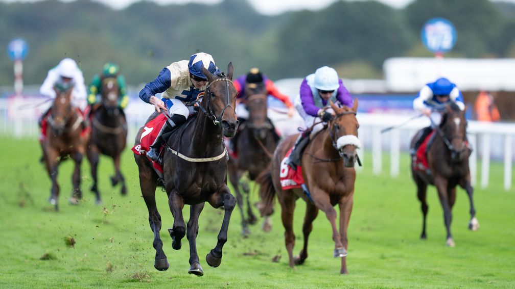 Darnation handled soft ground well when winning the May Hill