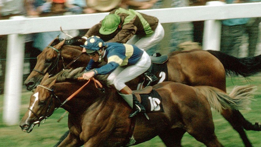 Grundy and Pat Eddery just get the better of a tremendous tussle with Bustino and Joe Mercer to win the 'Race of the Century', the 1975 King George VI & Queen Elizabeth Stakes