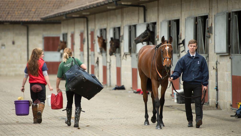 Stable staff keep the show running at Lingfield