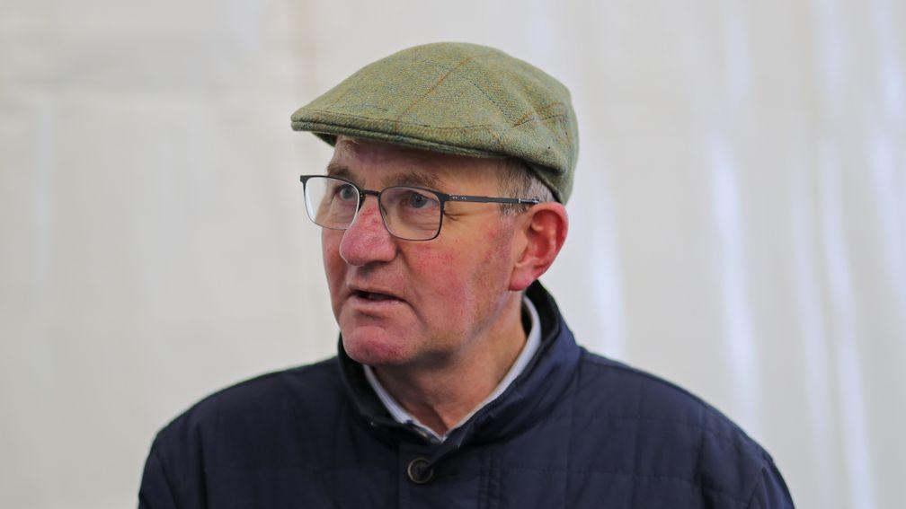 John Costello had not brought a horse to the Cheltenham sales ring before his £200,000 topper