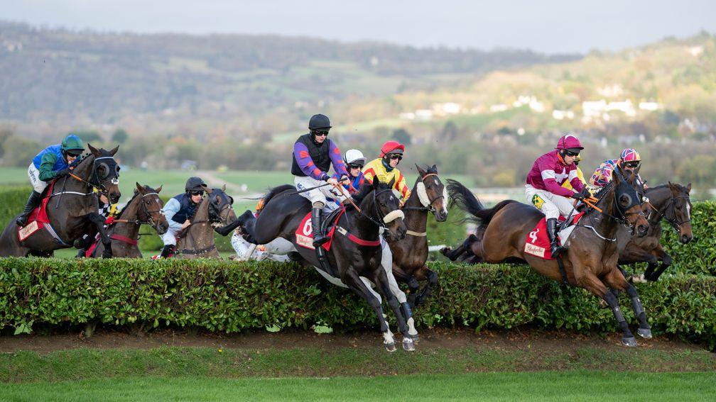 Friday's cross-country will feature nine of the same runners as November's race won by Back On The Lash (black cap)