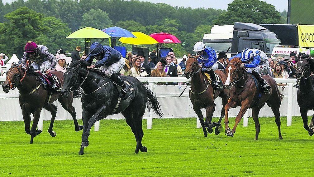 Caravaggio (Ryan Moore) impresses in the Coventry Stakes 12 months ago