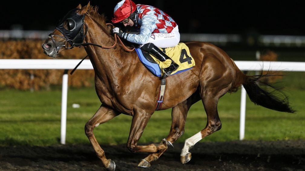 Red Verdon: one of five rides for David Egan on Dubai World Cup night