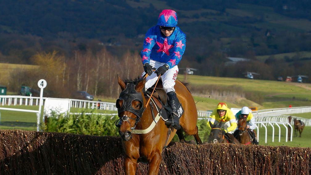 Royal Vacation: won Grade 1 chase over 3m two years ago