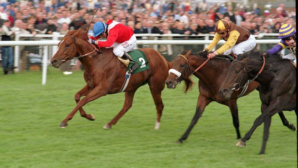 Medicean (left) in his racing heyday winning the 2001 Lockinge Stakes