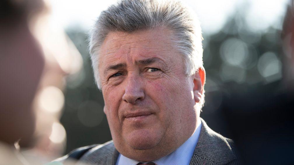 Paul Nicholls: frustrated with the BHA's handling of the new whip rules