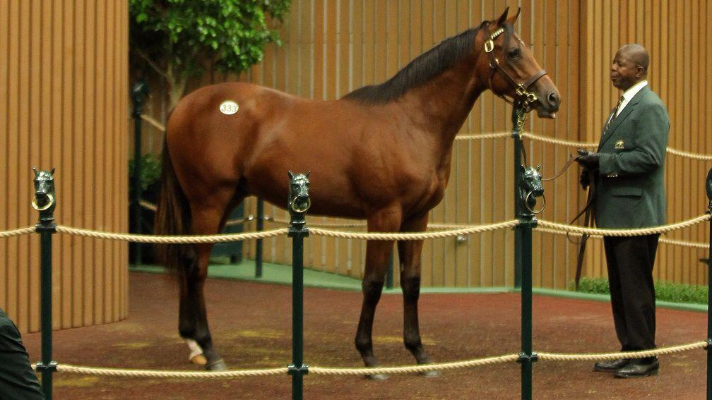 This $650,000 colt was a less surprising addition to the Godolphin stable, as a son of its own sire Dubawi