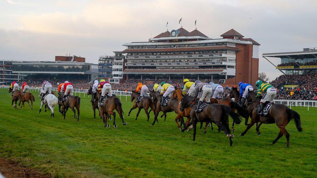 The field, with winner Native River (far left) in the lead, pass the stands in last year's Hennessy Gold Cup