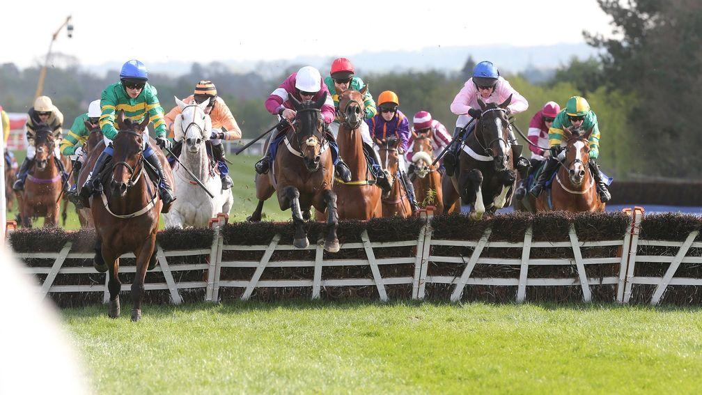 Cool Macavity (pink jacket) on his way to winning at the Punchestown festival